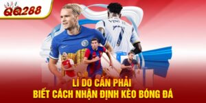 Lí do cần phải biết cách nhận định kèo bóng đá
