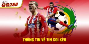 Thông tin về tin soi kèo